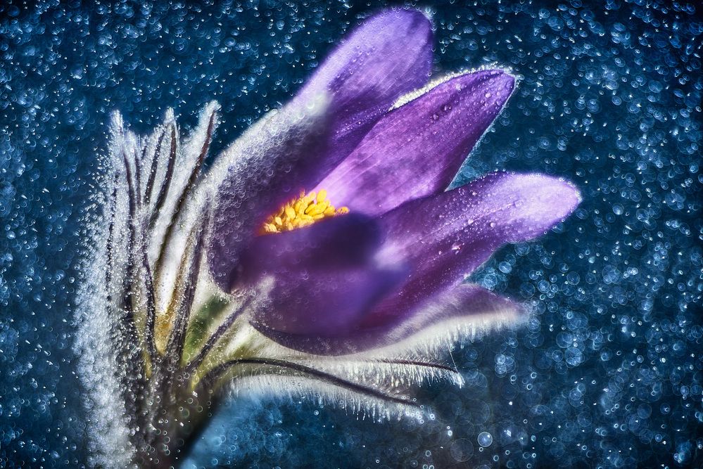 Фотография автора Владислав Храмцов