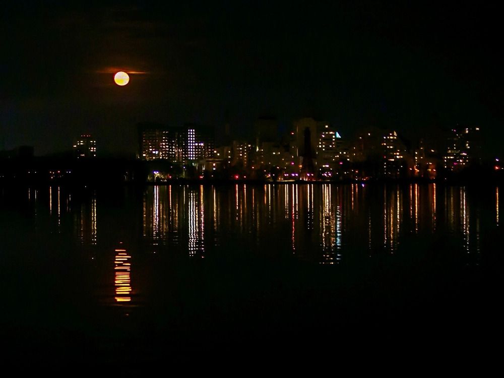 Фотография автора Елена Чиликина