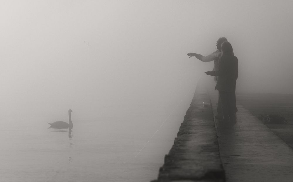 Photograph by Щербак Анатолий