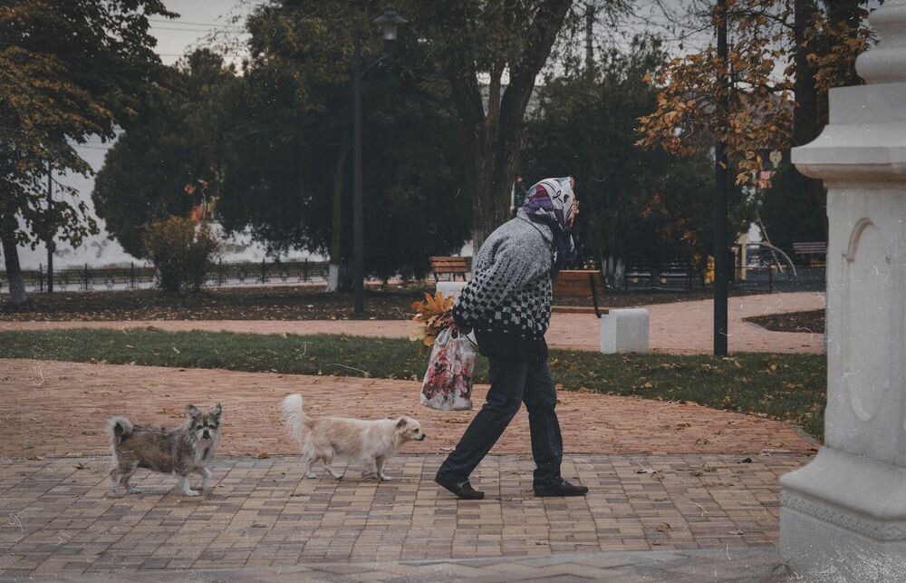 Photograph by Щербак Анатолий