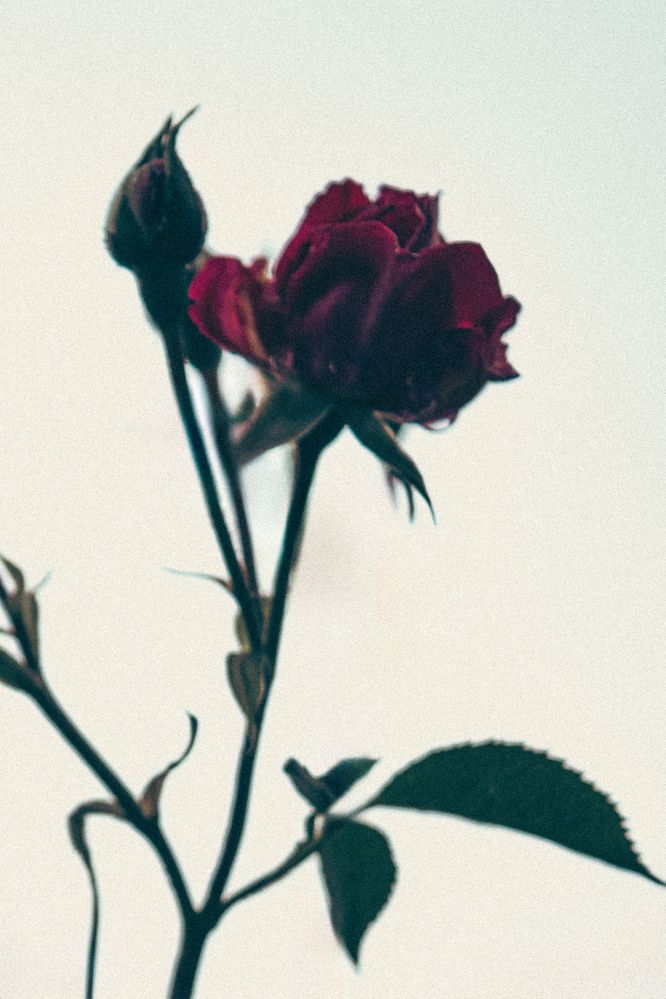 Photograph by Владислав Циклинский