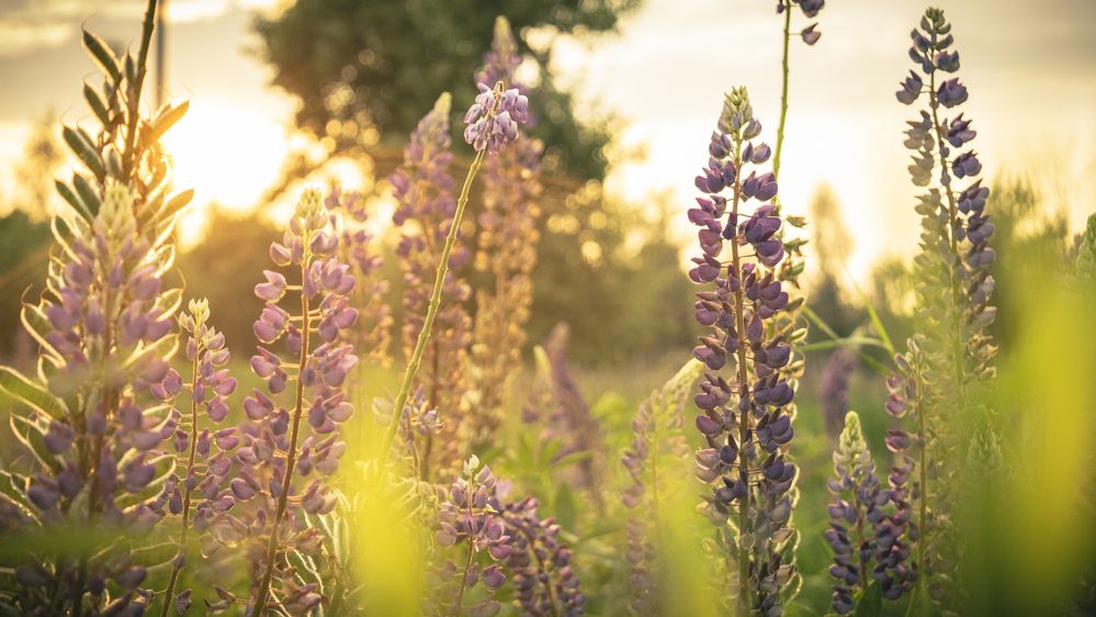 Photograph by Владислав Циклинский