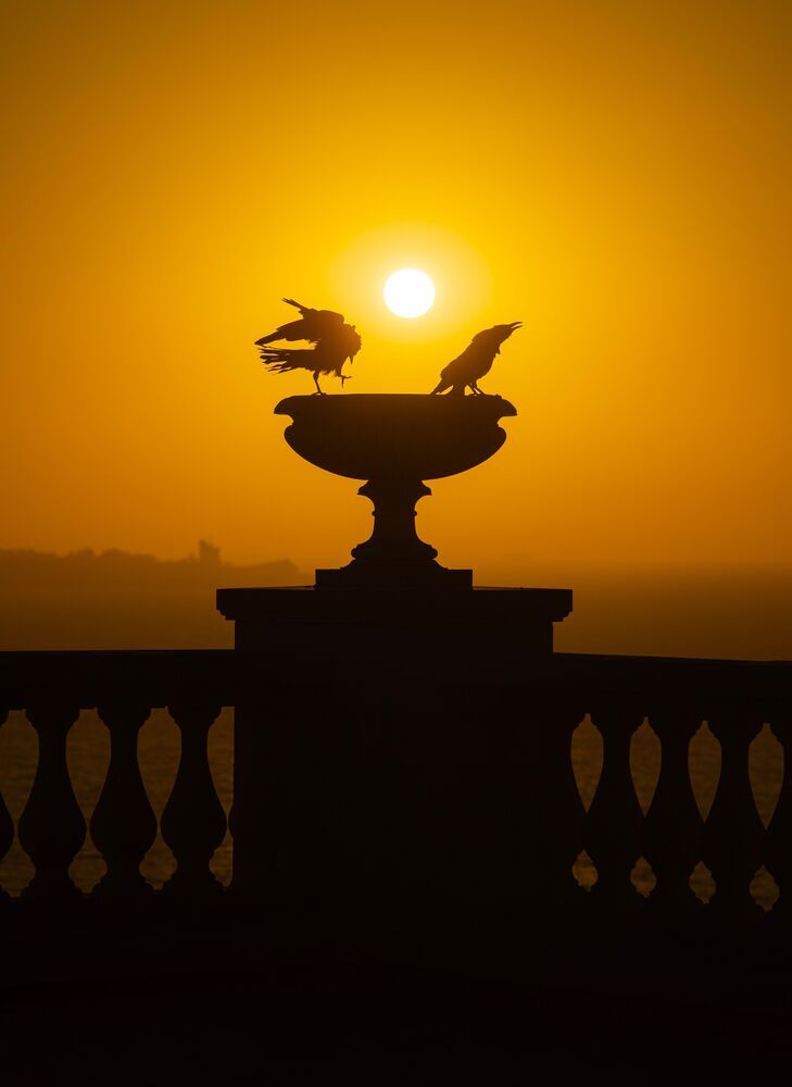 Photograph by Щербак Анатолий