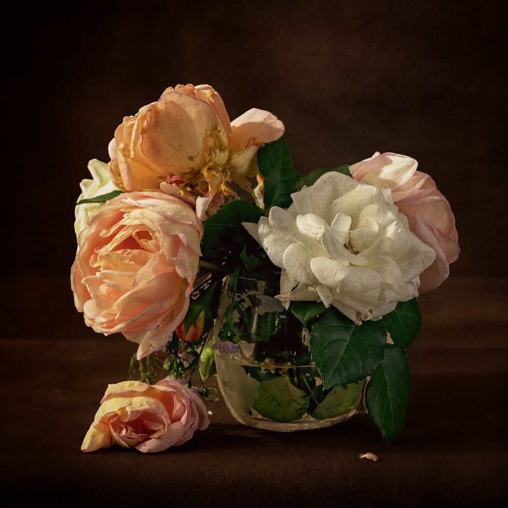 Photograph by Светлана Рубникович