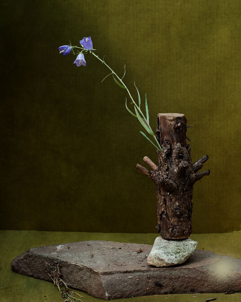 Photograph by Светлана Рубникович