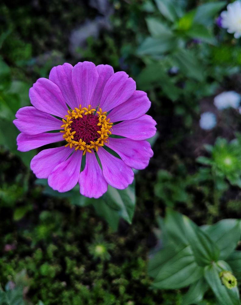 Photograph by Александр Житник