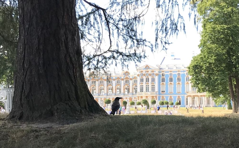 Photograph by Оксана