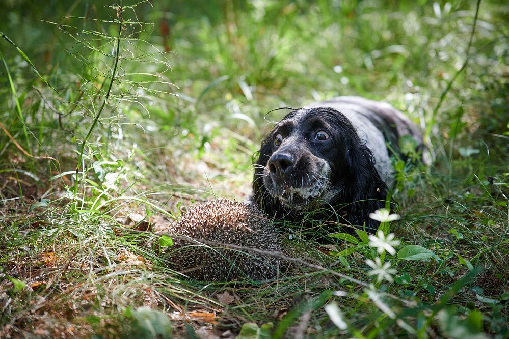 Photograph by Андрей Мольков