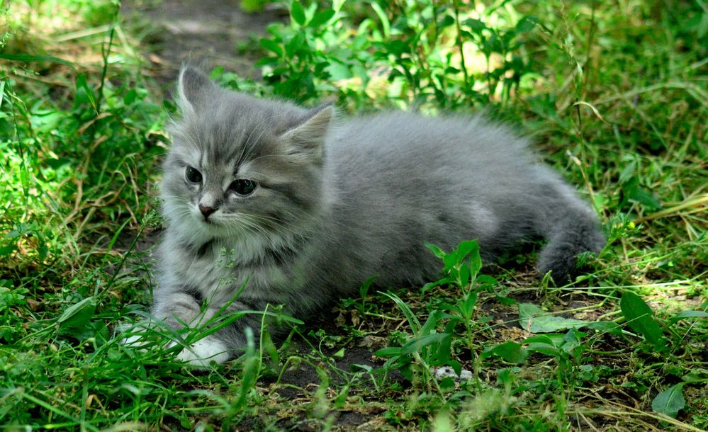 Photograph by Дмитрий Жуков