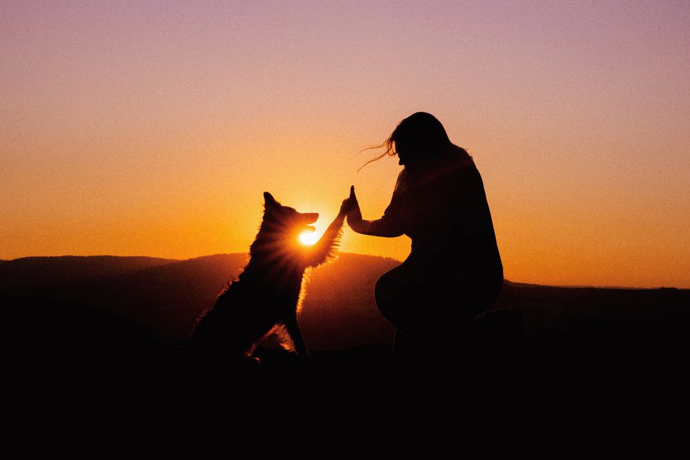 Photograph by Юлия Бец