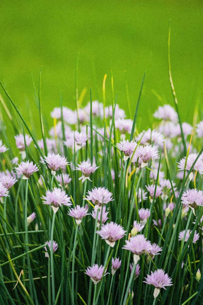 Фотография автора Юлия Бец