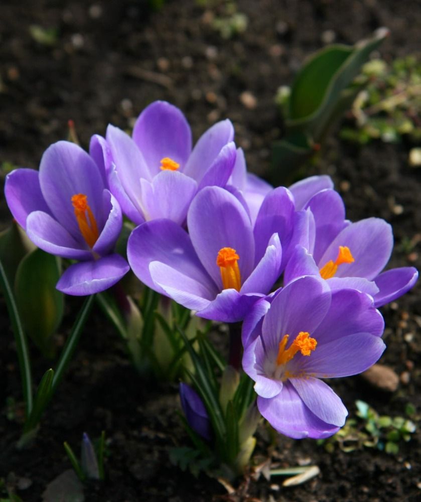 Photograph by Алена Ходатович