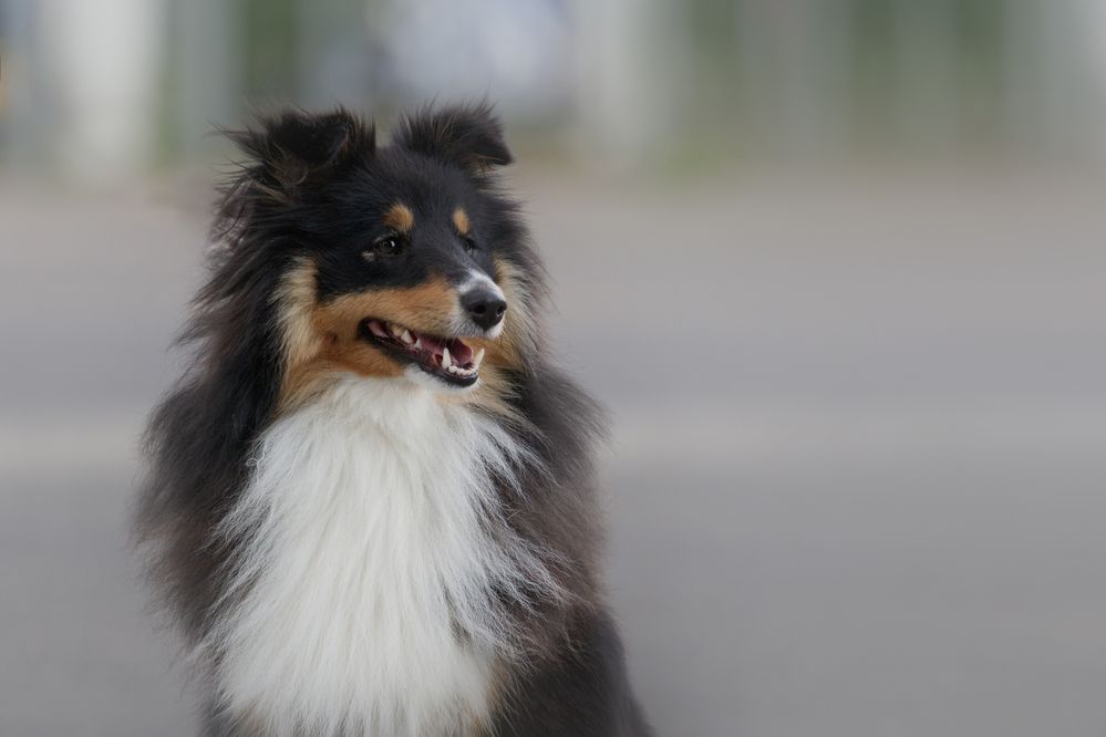Photograph by Катерина Гест