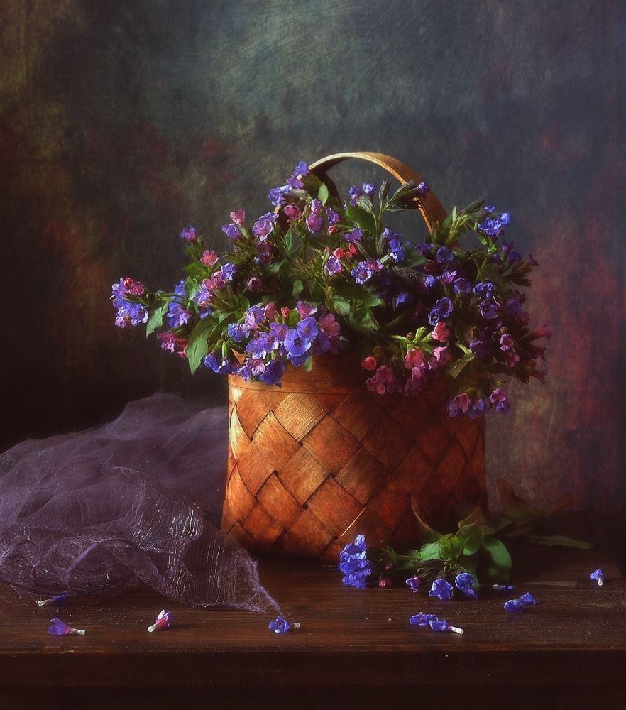 Photograph by Наталия К