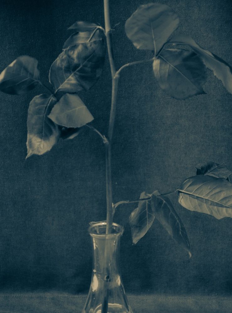 Photograph by Настя