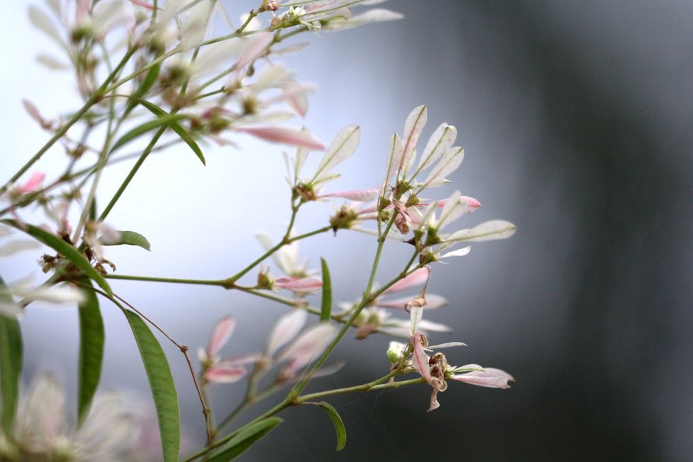 Photograph by Shibalik Choudhury