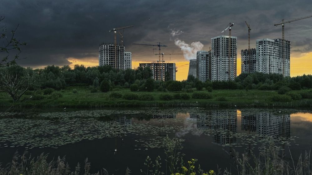 Фотография автора Дарья