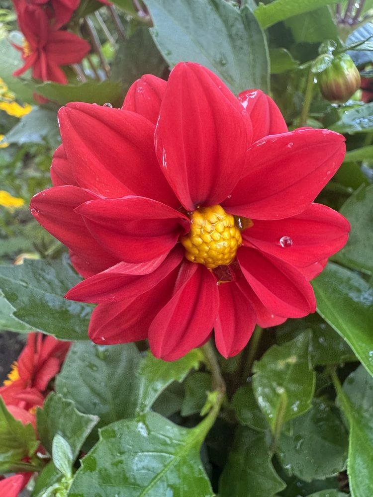 Photograph by Бойкова Наталия