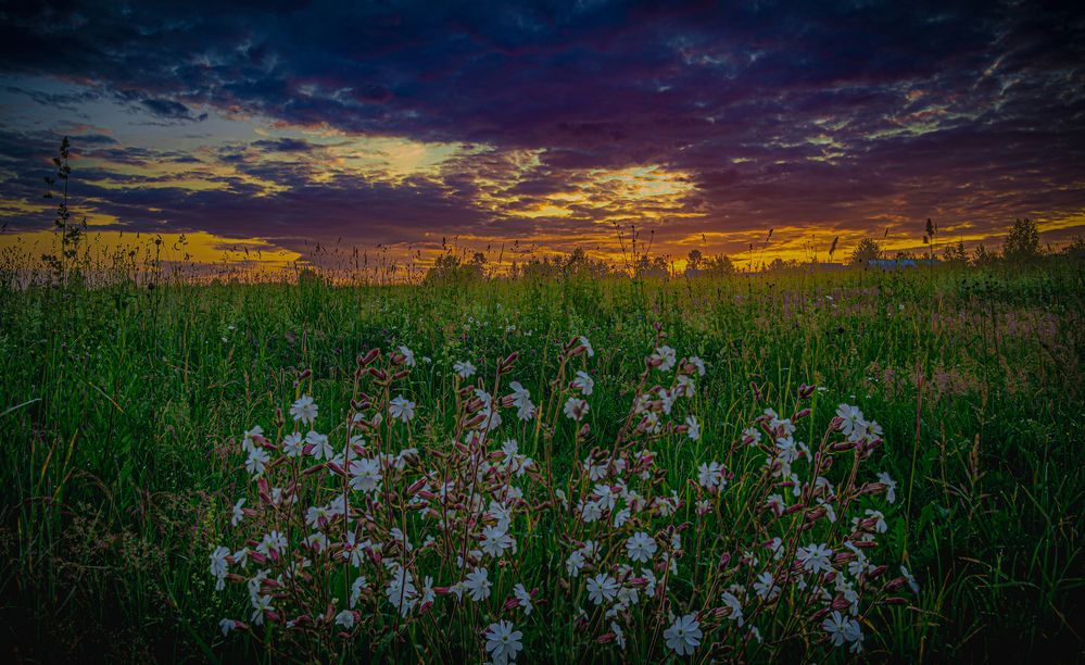 Photograph by Кокорин Алексей