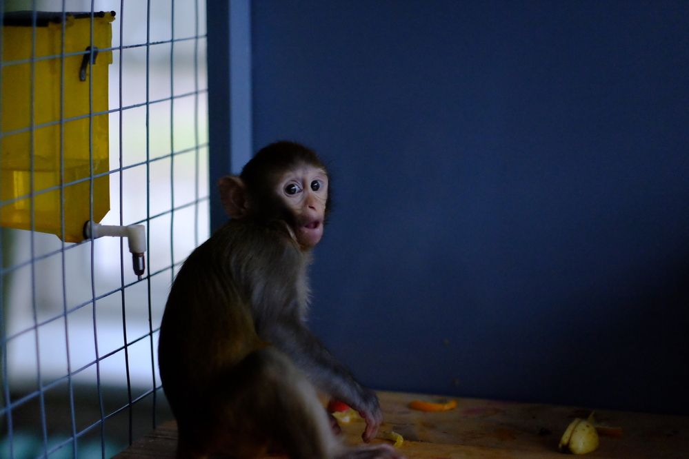 Photograph by Лариса Андреева