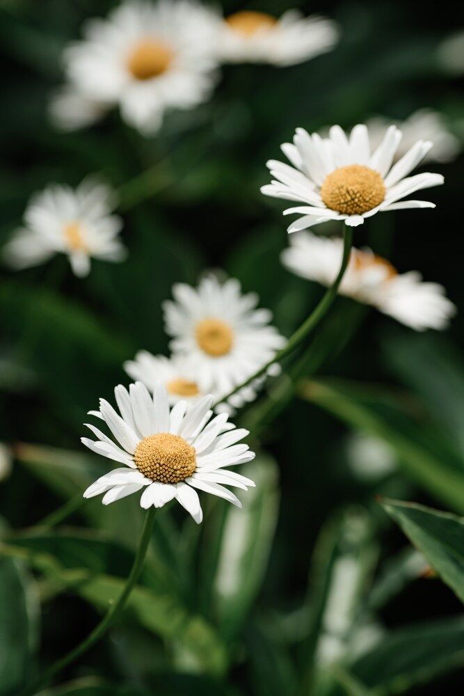 Photograph by Анна Блохина