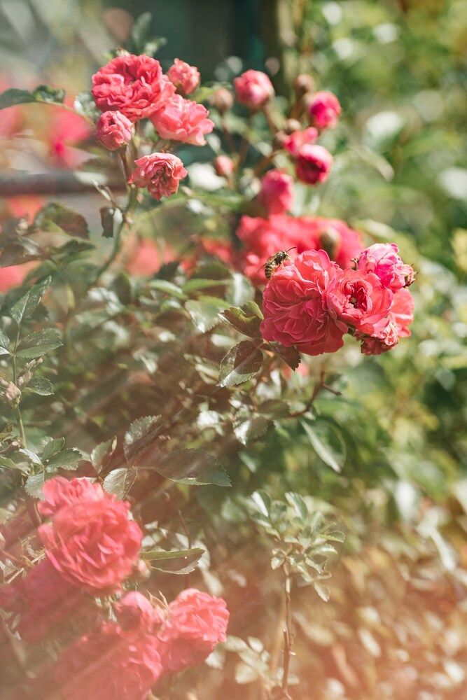 Photograph by Анна Блохина