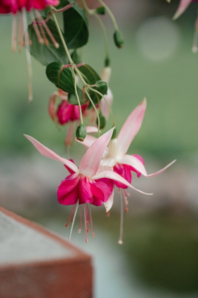 Photograph by Анна Блохина