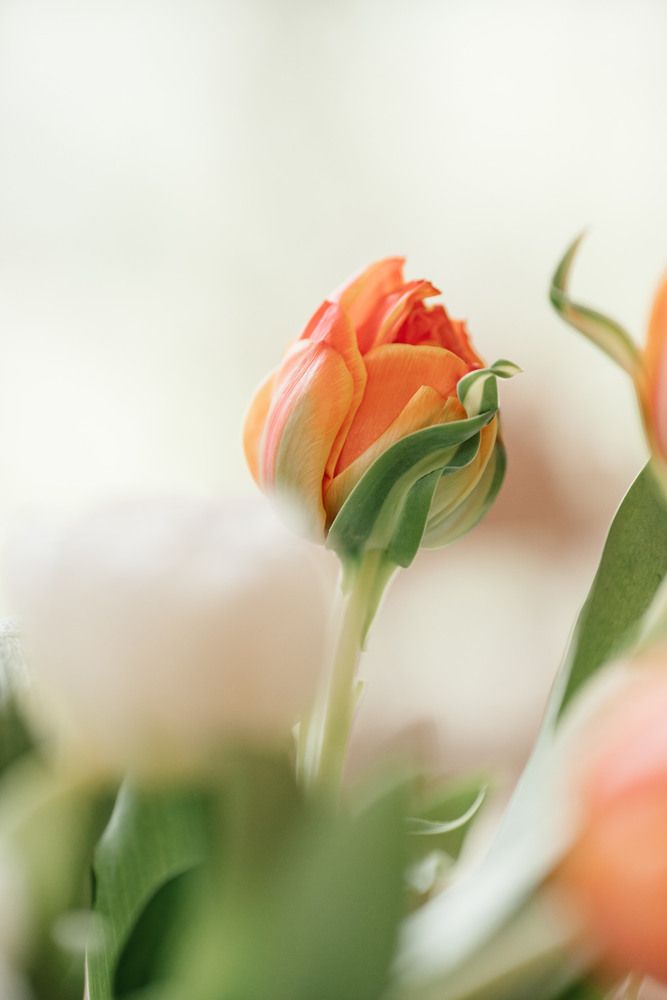 Photograph by Анна Блохина