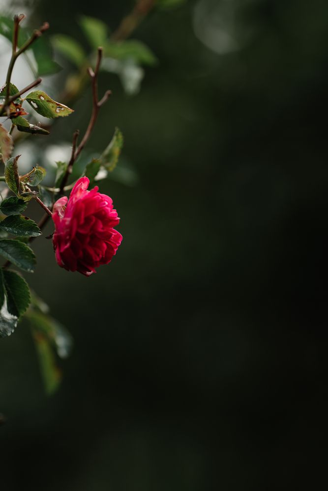 Photograph by Анна Блохина