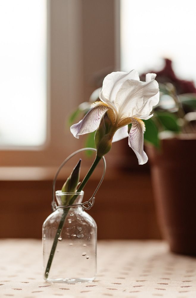 Photograph by Анна Блохина