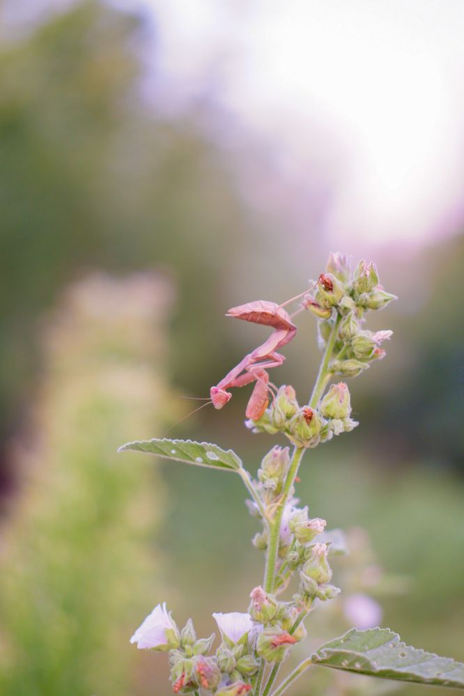 Photograph by Olga Matiashova