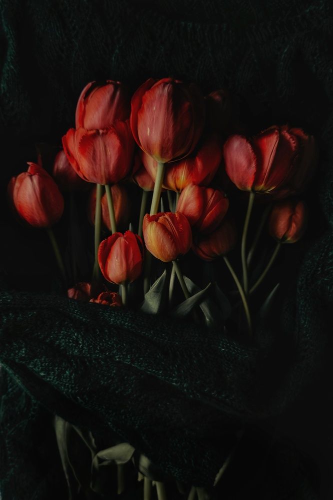 Photograph by Yuliya Karpova