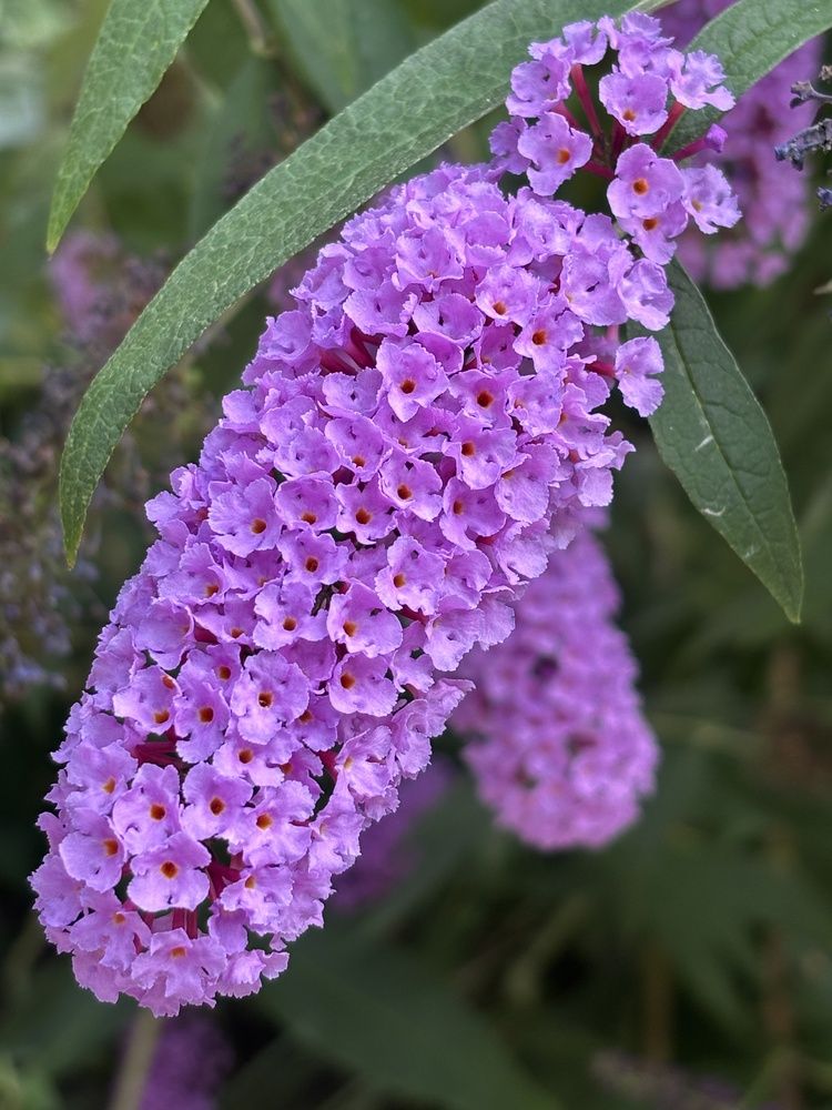 Фотография автора Юлианна Гуртовенко