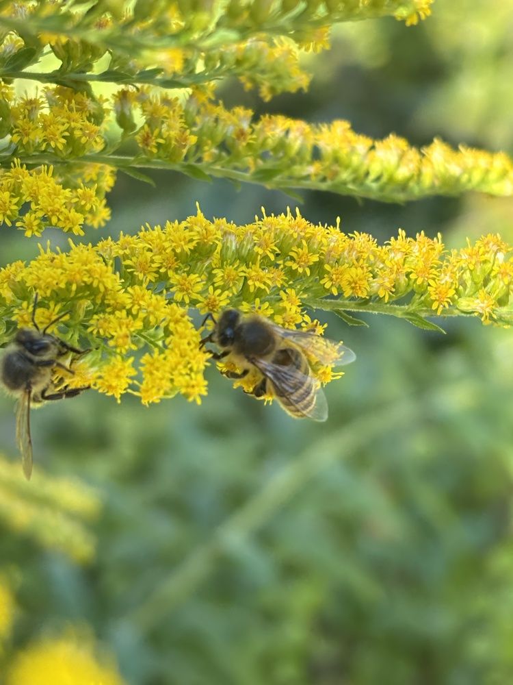 Фотография автора Юлианна Гуртовенко