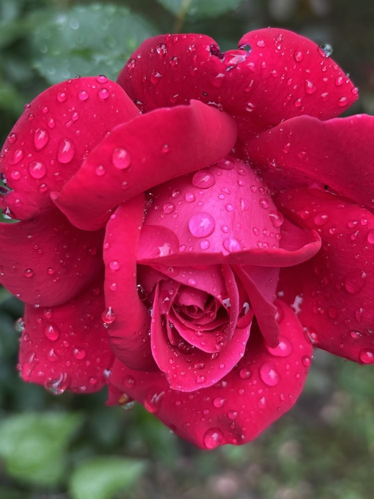 Фотография автора Юлианна Гуртовенко