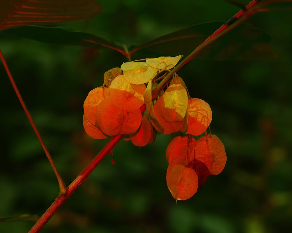 Photograph by Ясинский Константин