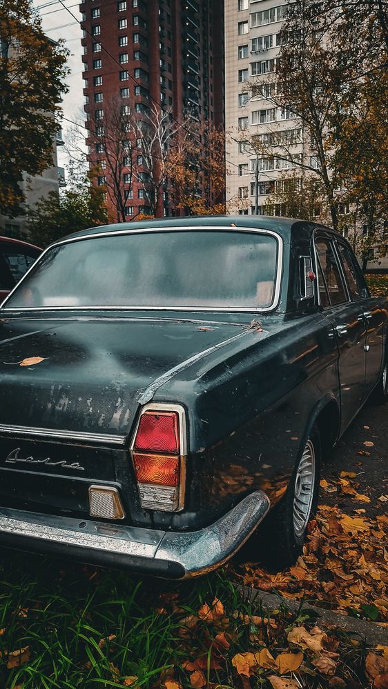 Фотография автора RENAT ABDULBYAROV