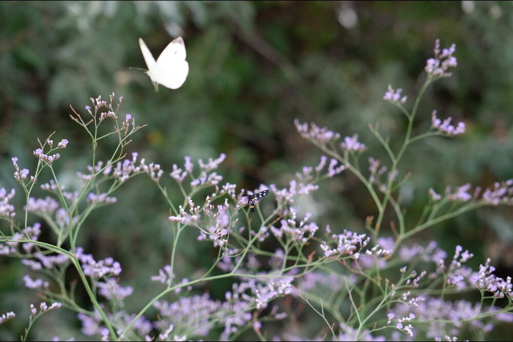 Photograph by Olga Matiashova