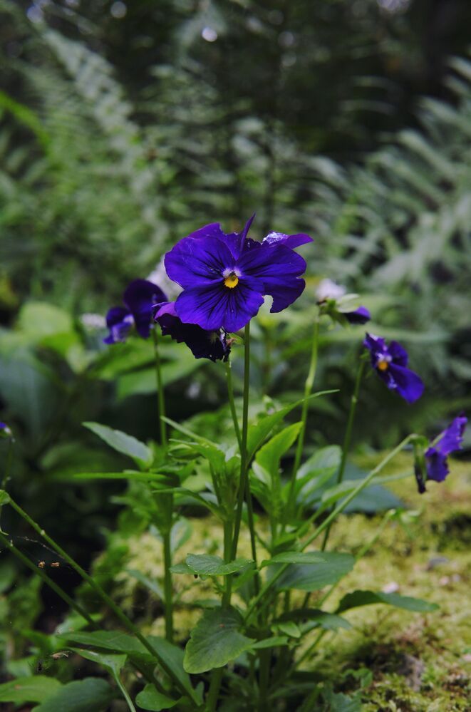 Photograph by Вадим Зрюев