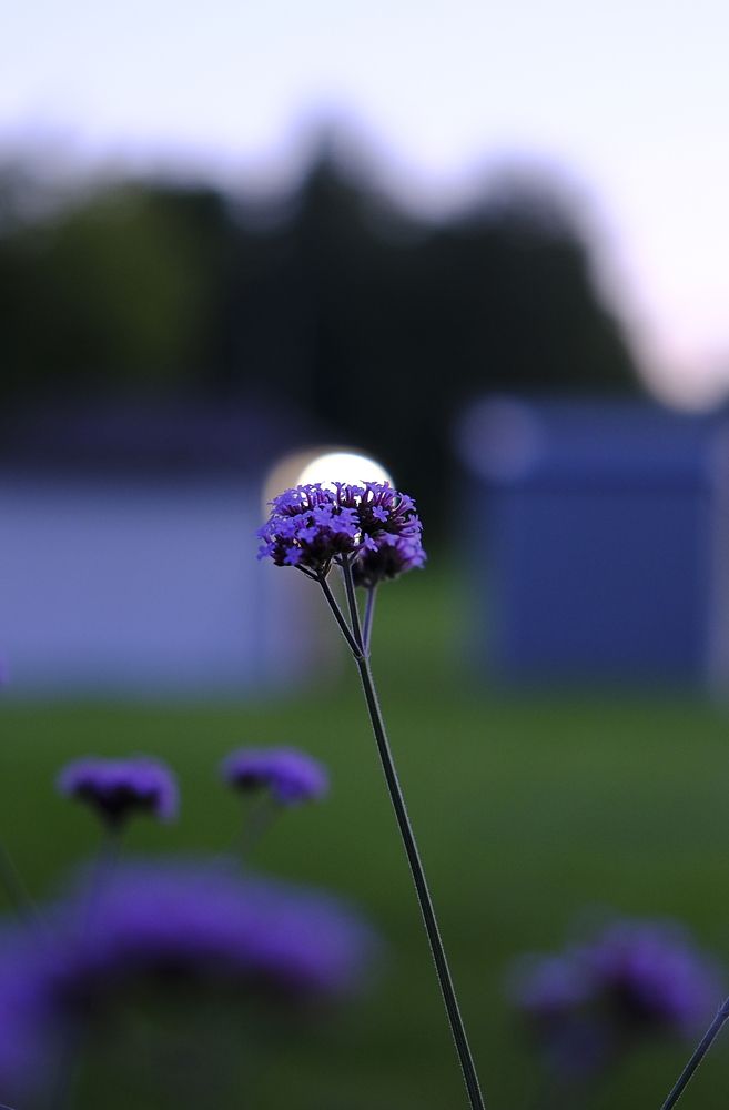 Photograph by Вадим Зрюев