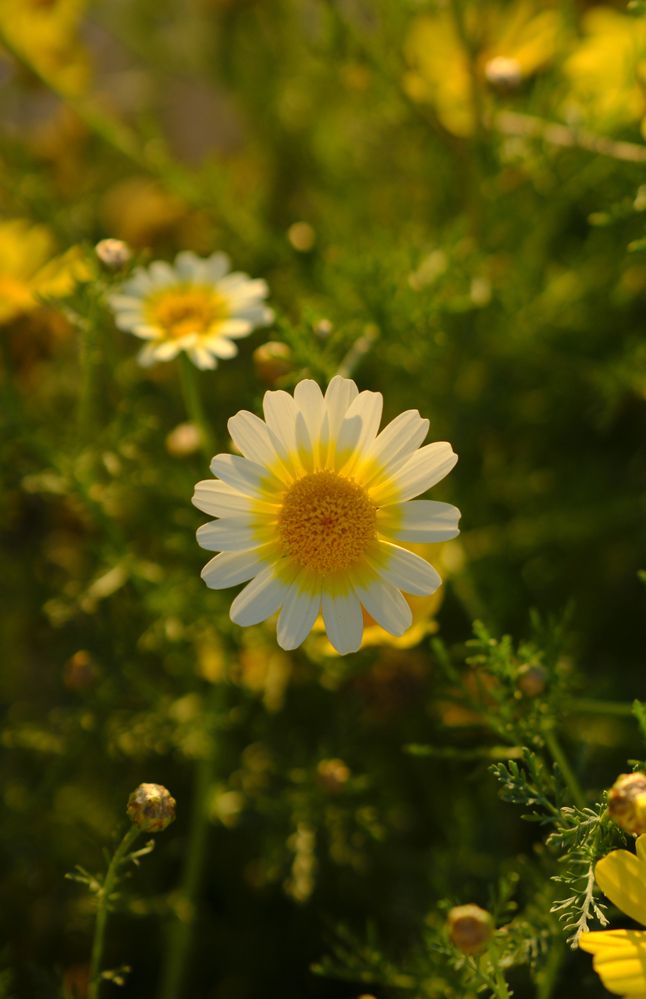 Photograph by Вадим Зрюев