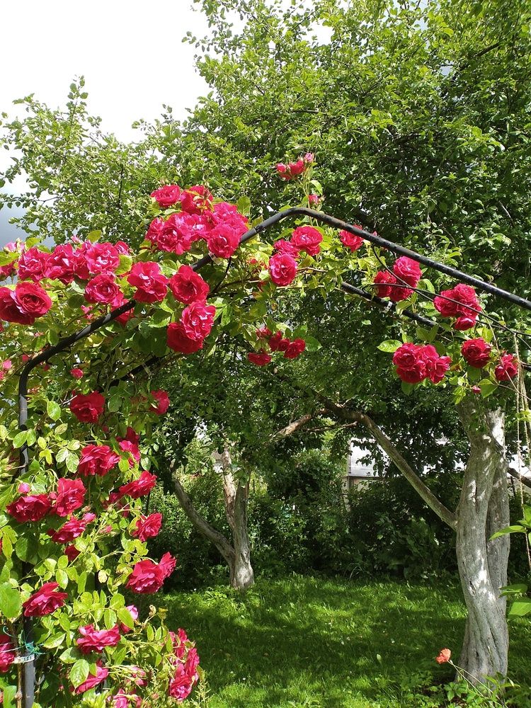 Фотография автора nft_lady_007