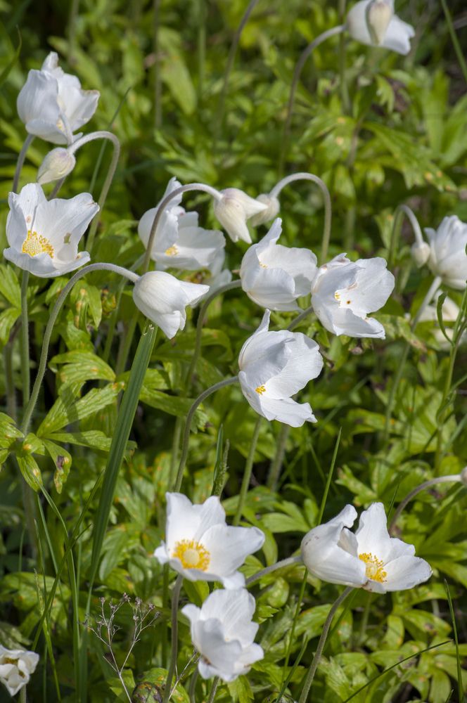 Фотография автора Татьяна Петренко