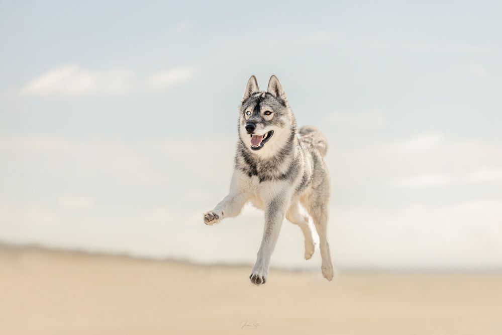 Фотография автора Jeanne GOFFIN