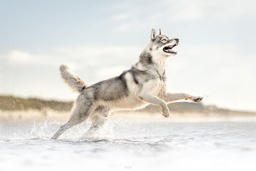 Фотография автора Jeanne GOFFIN