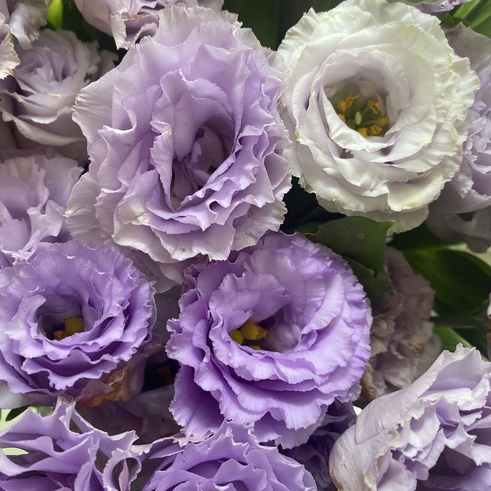 Photograph by Сергей Смирнов