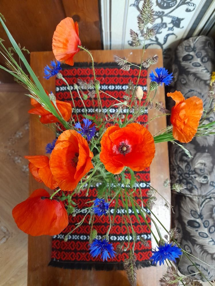 Photograph by Ирина Бельская