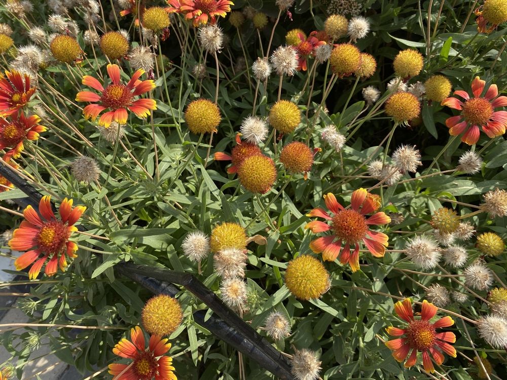 Photograph by Сергей Смирнов