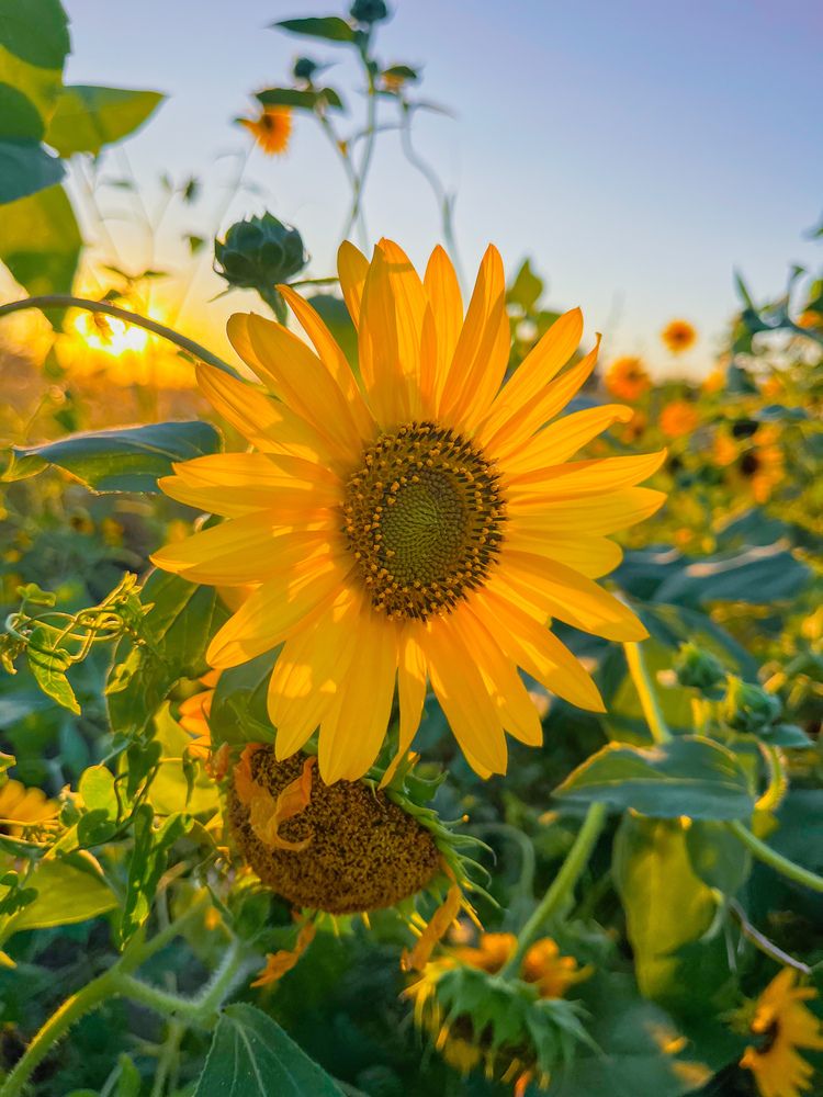 Photograph by Olga Matiashova