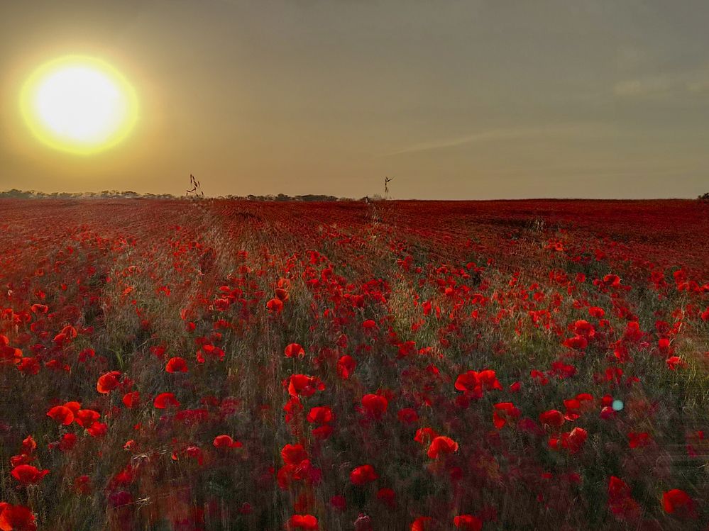 Photograph by Татьяна Петренко
